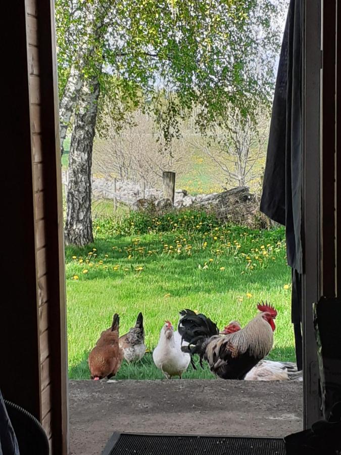 티린지 Knutstorp Ranch 아파트 외부 사진